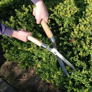 Manual Hedge Trimmer
